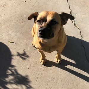 Meet your Posher, Christina